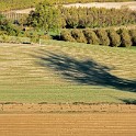 GUI 1556