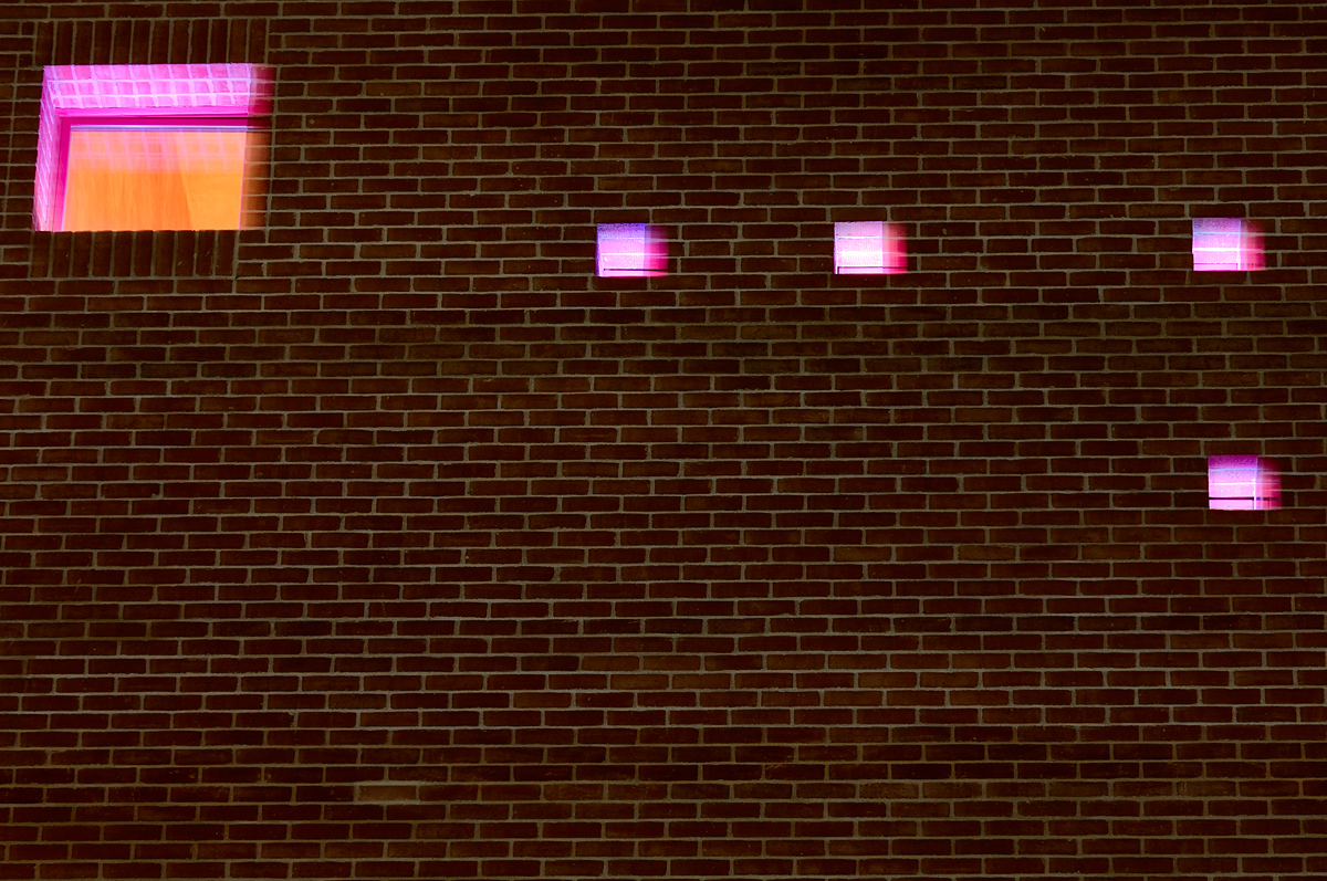  DSC1511