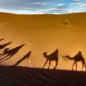 MAROCCO 1455