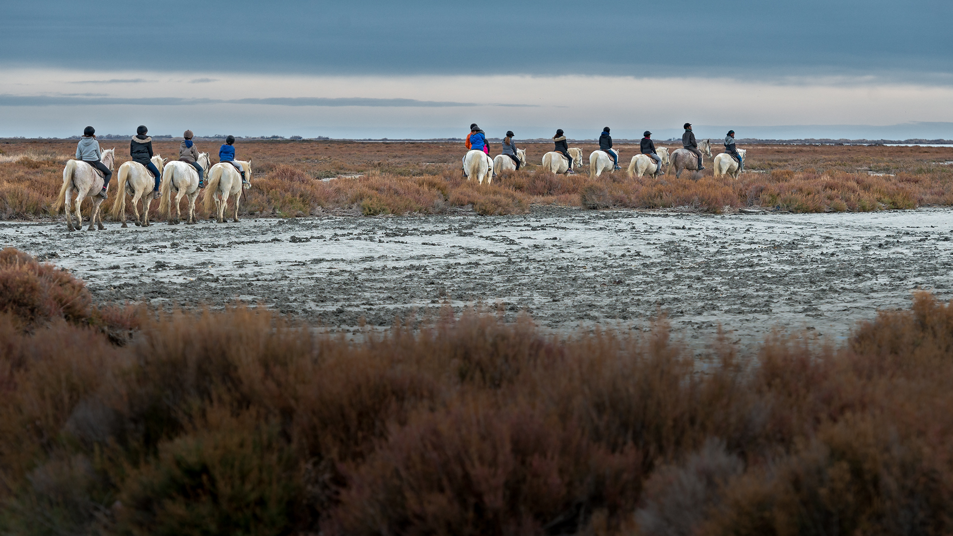 Camargue 002