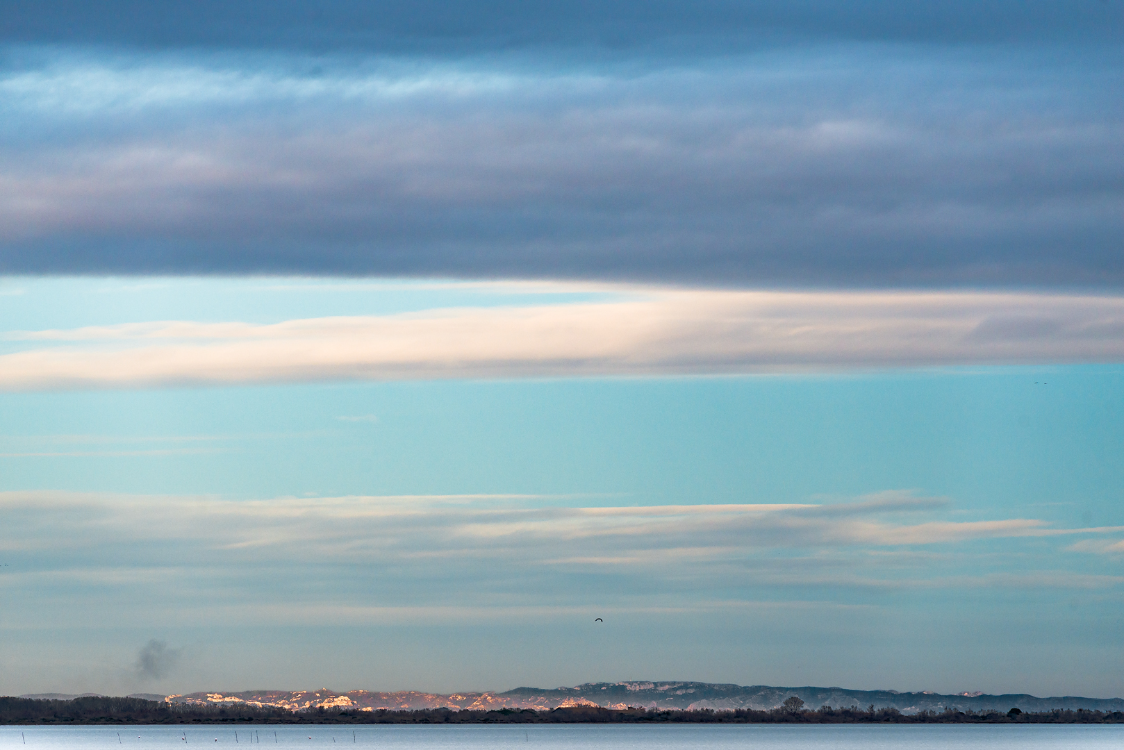 Camargue 004