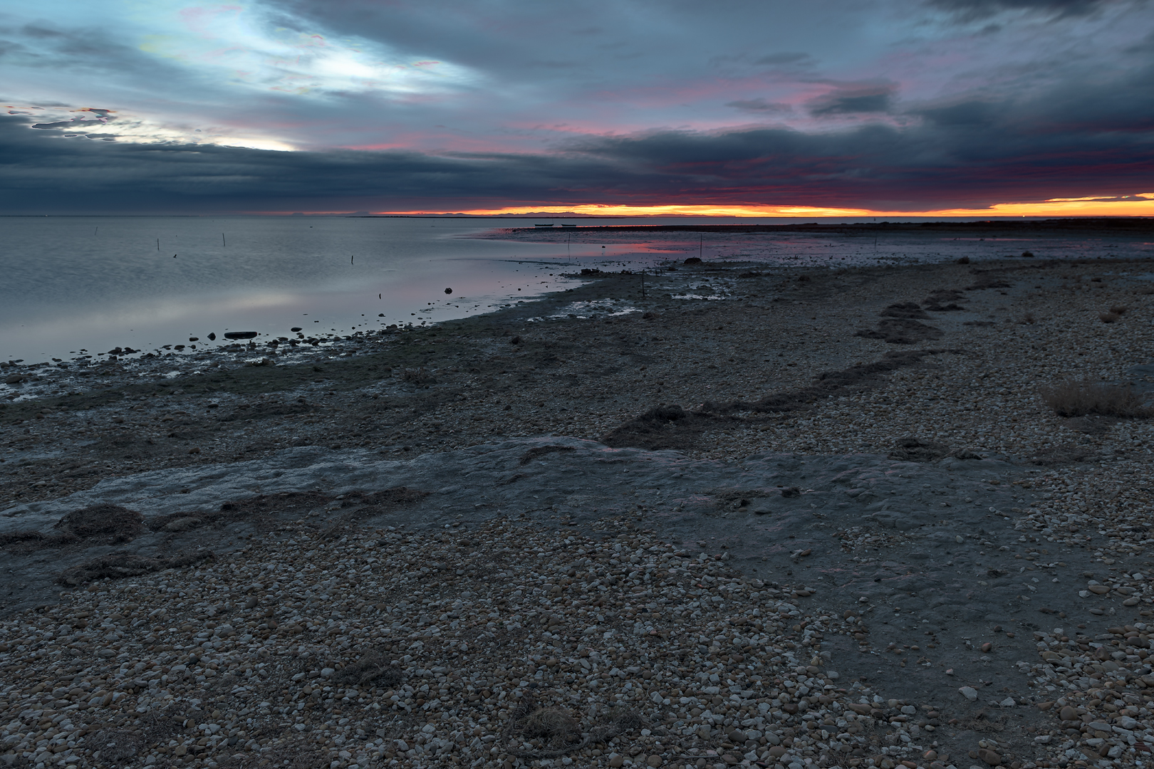 Camargue 024