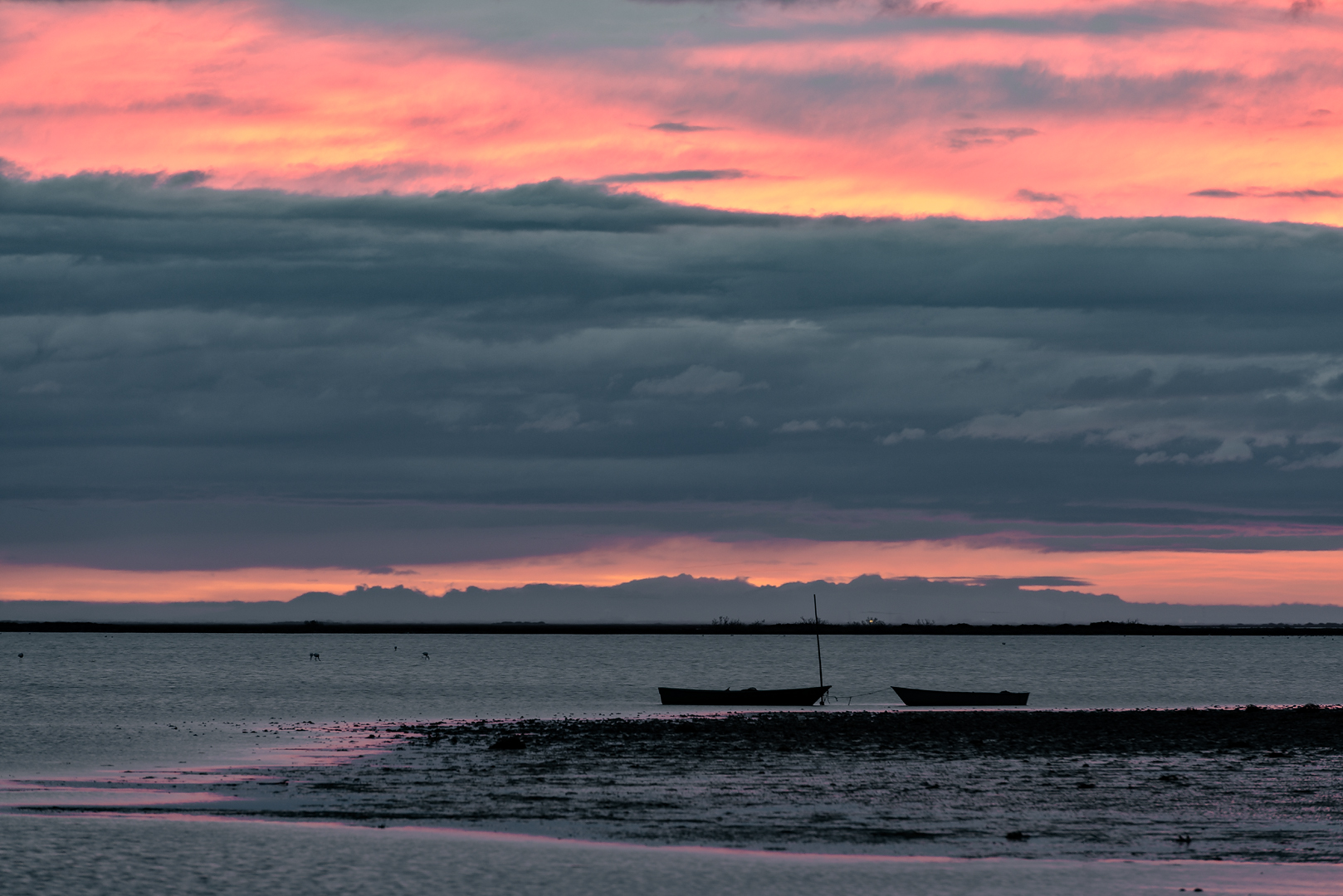 Camargue 031
