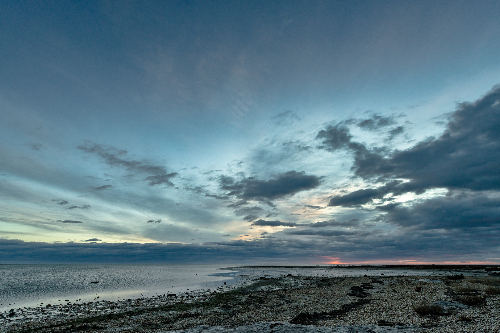 Camargue 041
