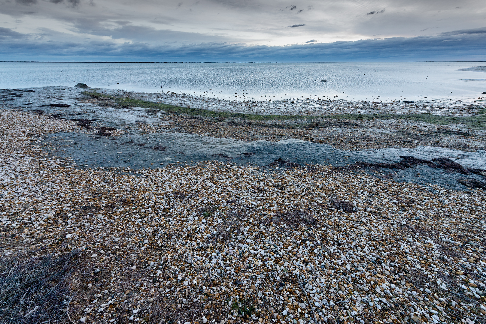 Camargue 042