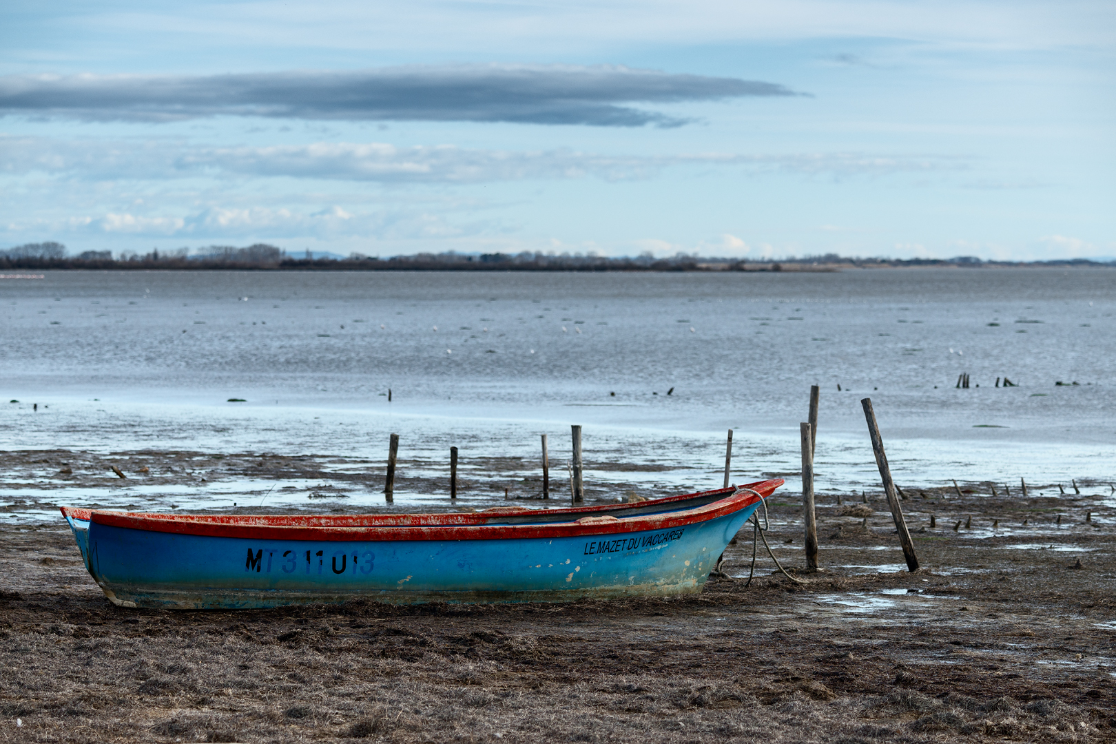 Camargue 1235