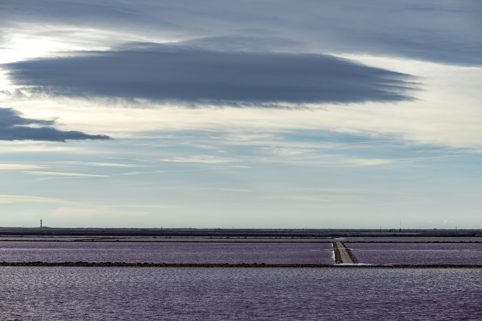 Camargue 1304