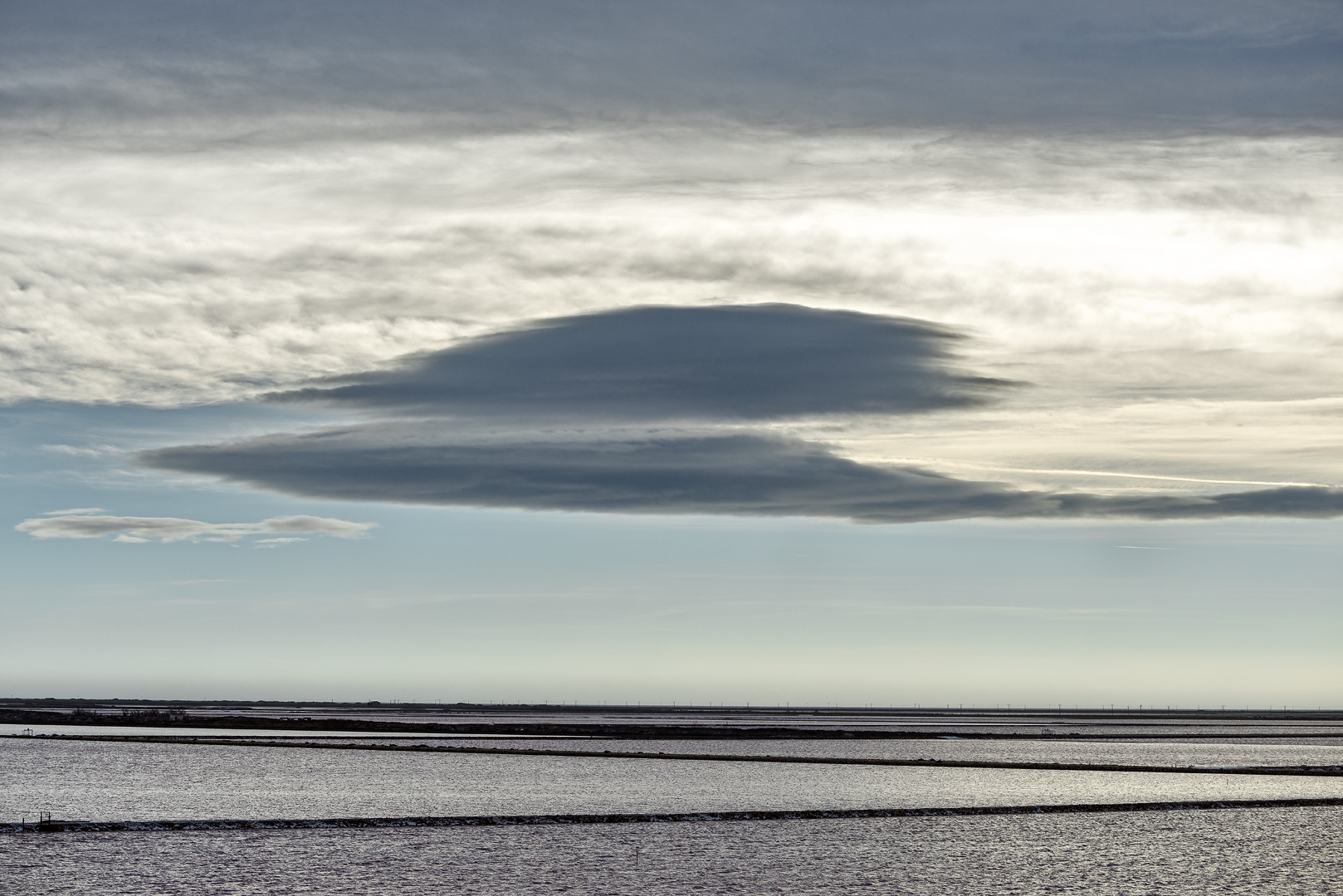 Camargue 1305