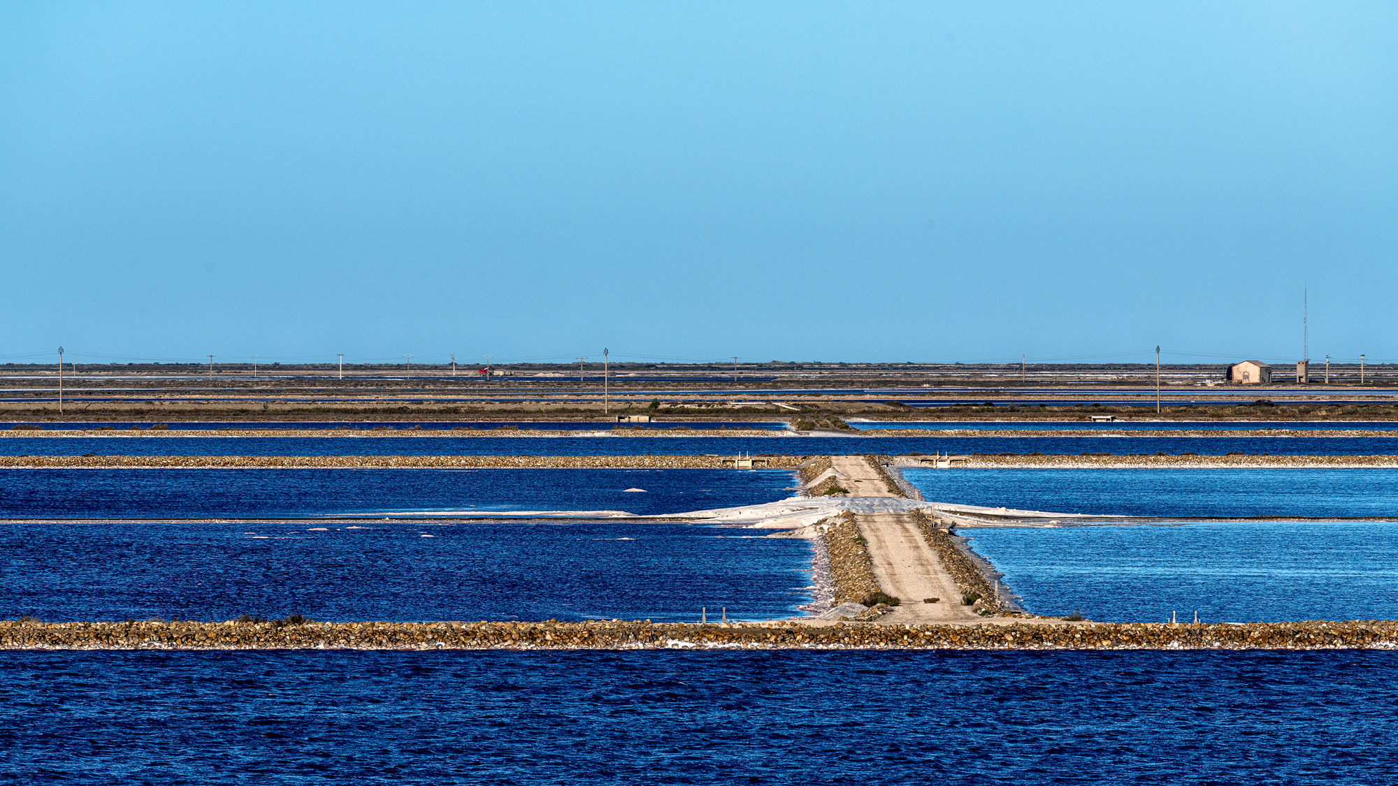 Camargue 9637