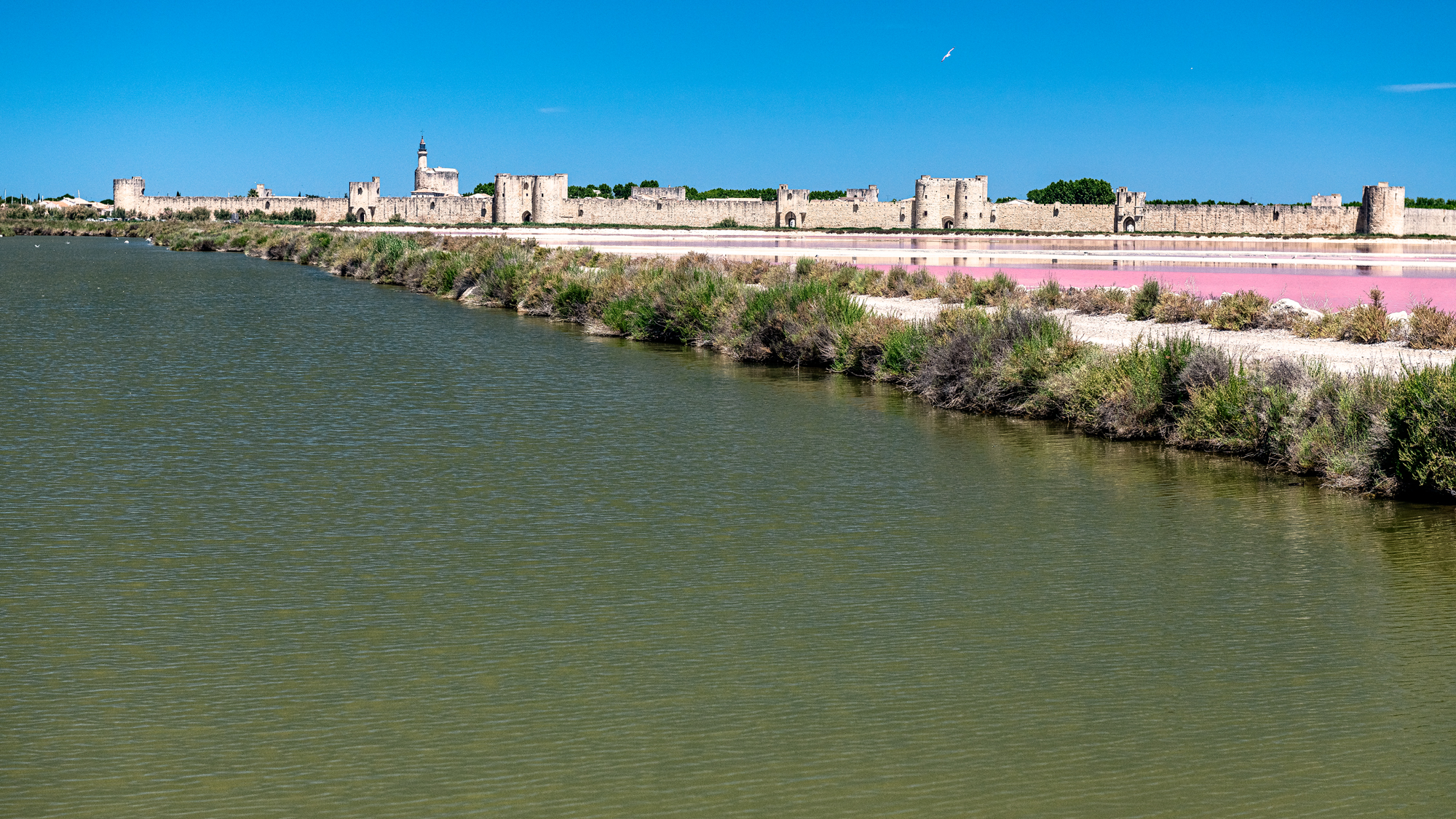 Camargue 9672