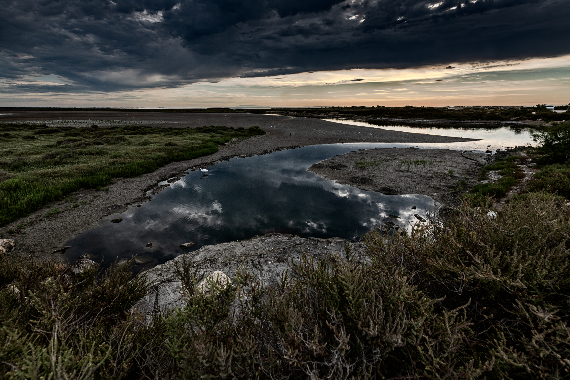 Camargue 9684