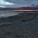 Camargue 024