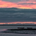 Camargue 031
