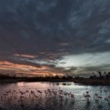 Camargue 1132
