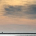 Camargue 1205