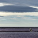 Camargue 1304