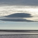 Camargue 1305