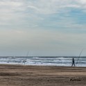 Camargue 1315