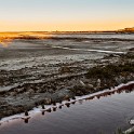 Camargue 9622