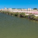 Camargue 9672