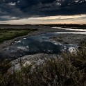 Camargue 9684