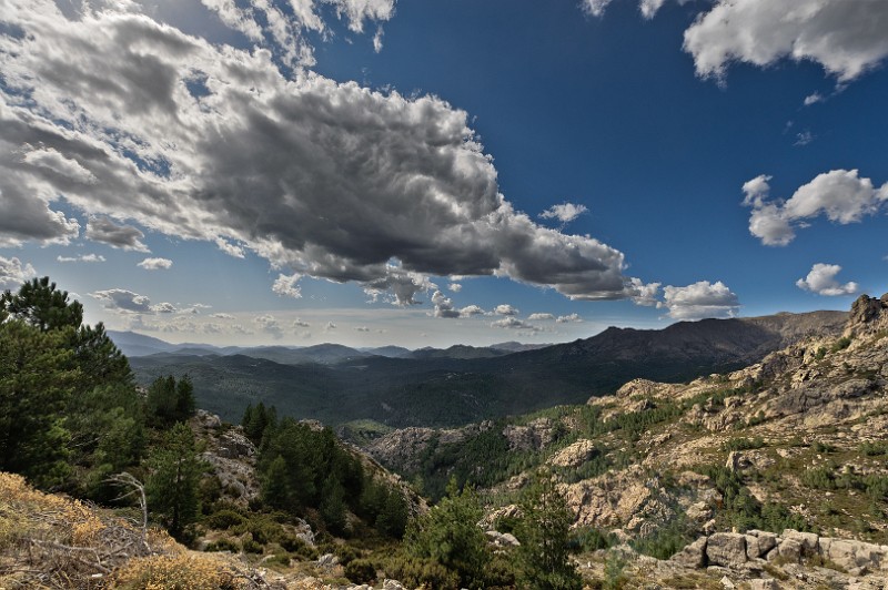Corsica 11 0314