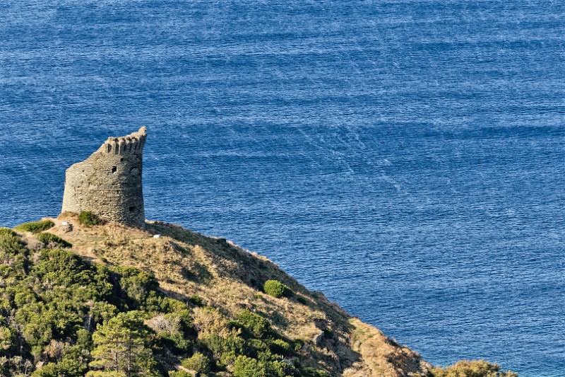 Corsica 11 1801