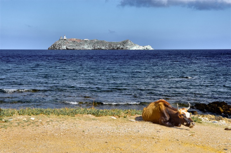 Corsica 11 1921