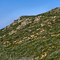 Corsica 11 1861