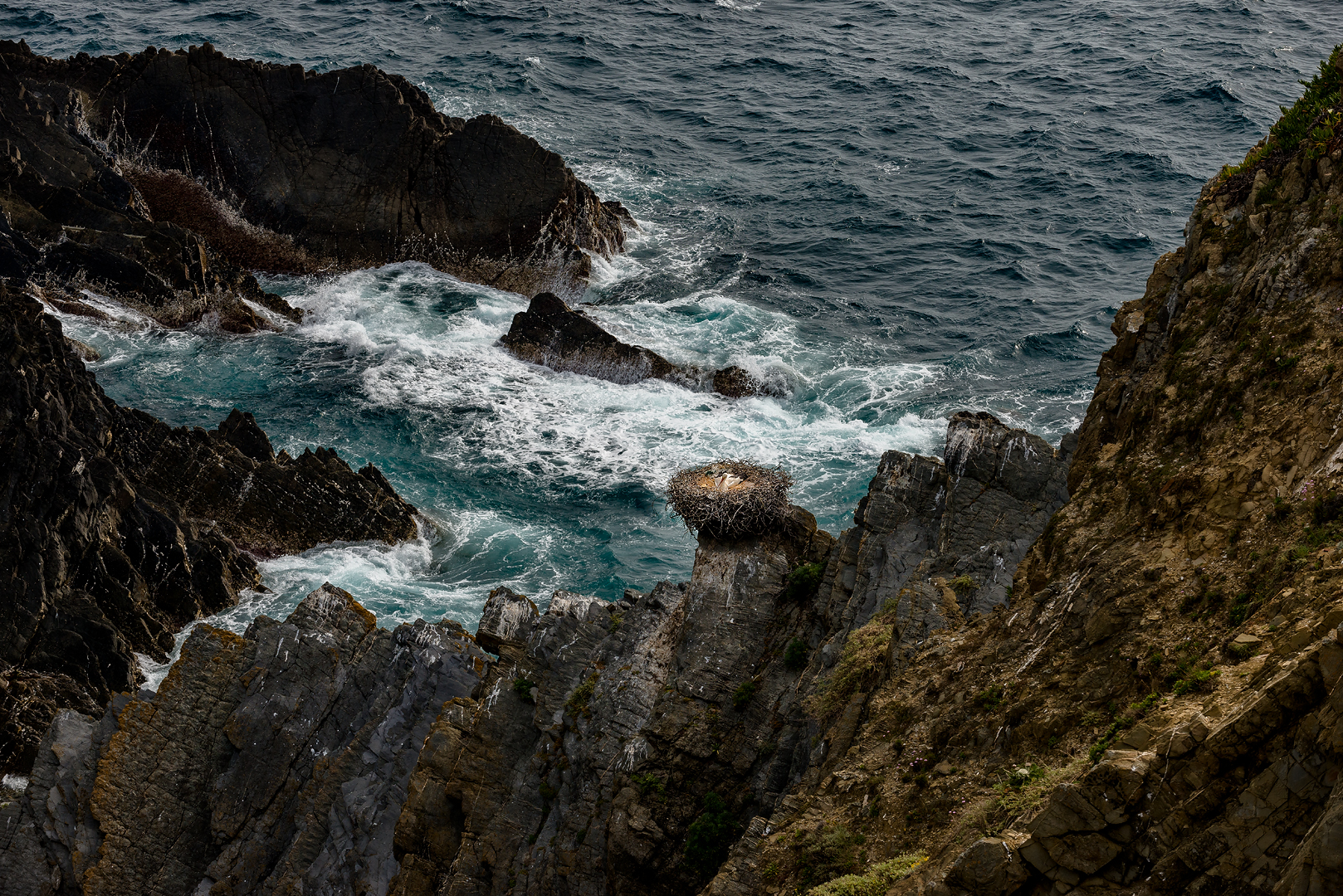 DSC 3559-1