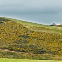 DSC 3486-3