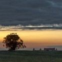 DSC 4527