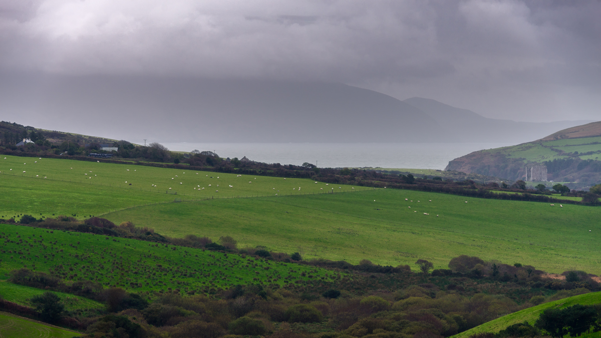 DSC 9376-1