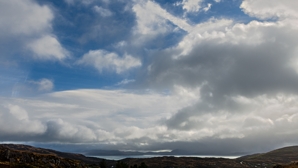 DSC 9602-1