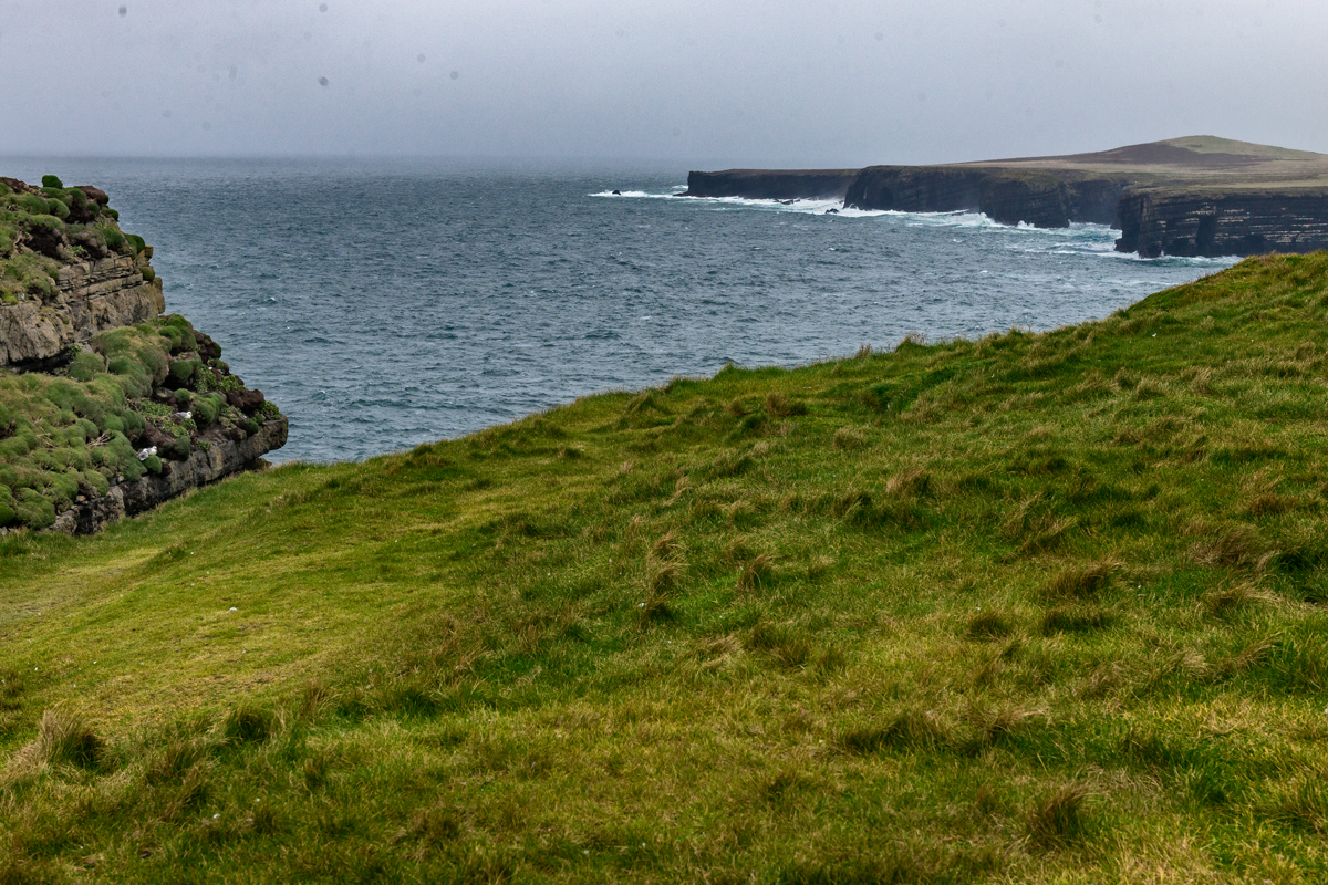 DSC 9761-1