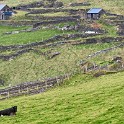 DSC 9409-1