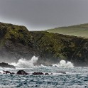DSC 9443-1