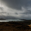 DSC 9595-1