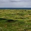 DSC 9746-1