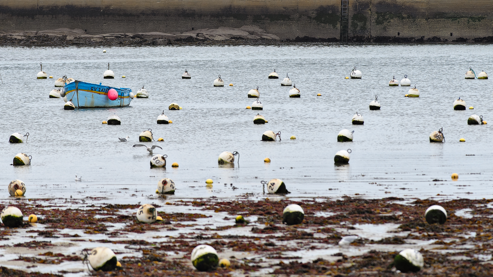 BRETAGNA 2012 132