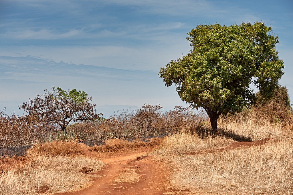 Madagascar 157-1