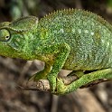 Madagascar 041