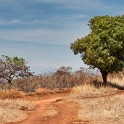Madagascar 157-1
