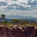 Madagascar 238 1