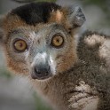 Madagascar_666.jpg