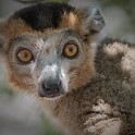 Madagascar 666