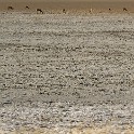 DSC2699