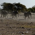  DSC2908