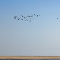  DSC4201
