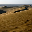  DSC4329